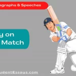 Essay on a cricket match
