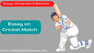 Essay on a cricket match