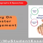 Essay on Effective Disaster Management & its Importance