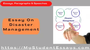 Essay on Disaster Management