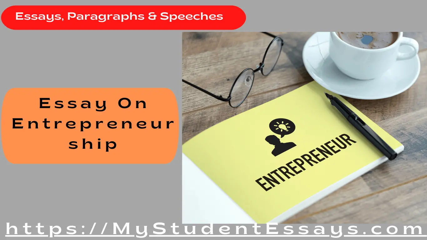 Essay on Entrepreneurship