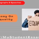 Essay on Equality