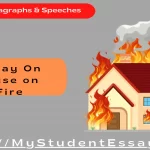 Essay on House on Fire