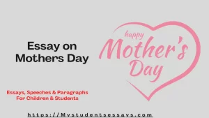 Essay on Mothers Day