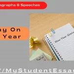 Essay on New Year