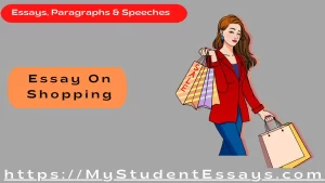 Essay on Shopping