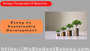 Essay on Sustainable Development