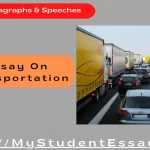 Essay on Transportation