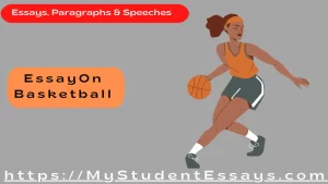 Essay on basketball