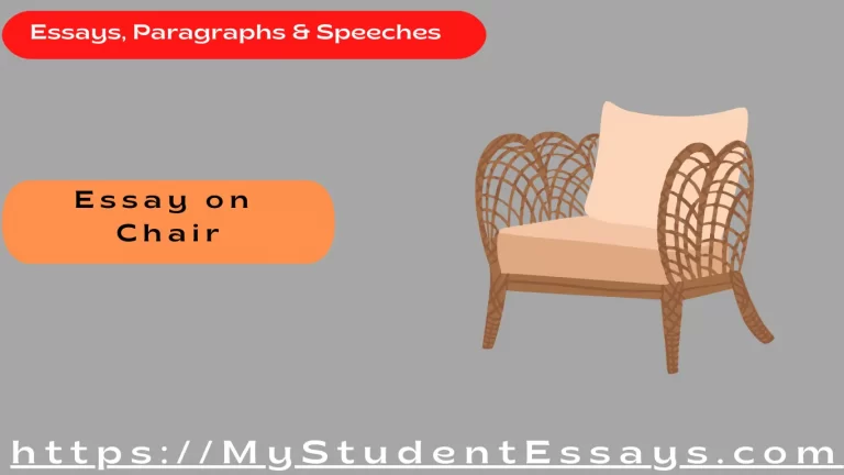 Essay on Chair For Students