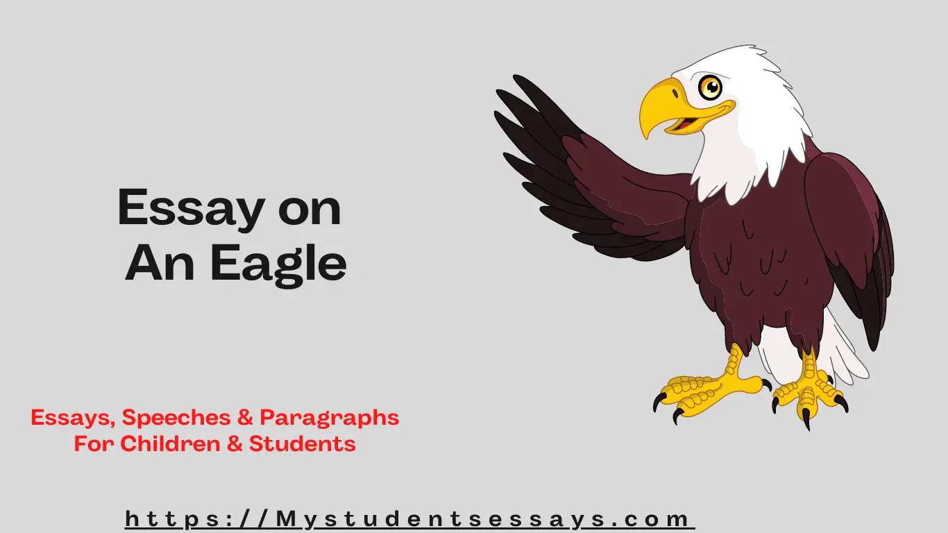 Short essay on an eagle