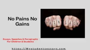 Essay on No Pains No Gains