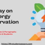 Essay on Energy Conservation