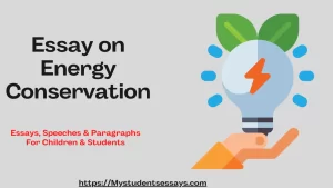Essay on Energy Conservation