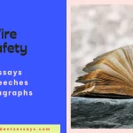 Essay on Fire Safety