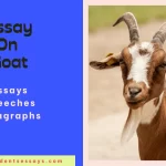 Essay on Goat