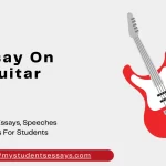 Essay on Guitar  [ Types, Importance, Guitar Tips ]
