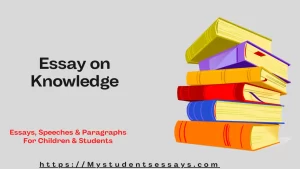 learning vs knowledge essay