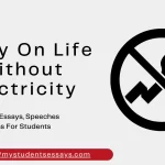 Essay on Life without Electricity