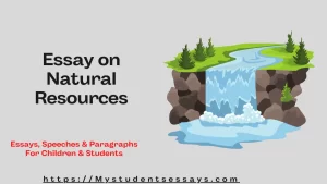 Essay on Natural Resources