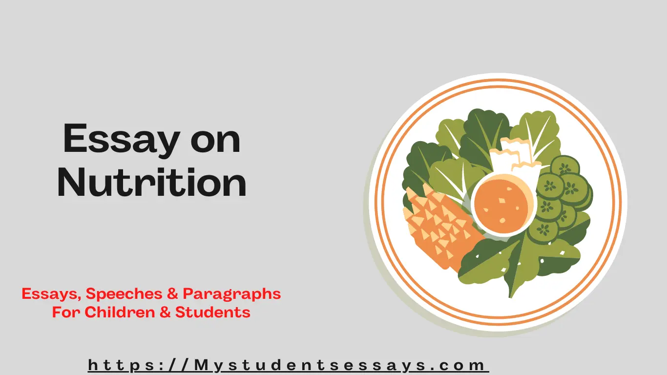 essay on types of nutrition