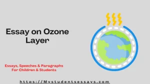 Essay on Ozone Layer