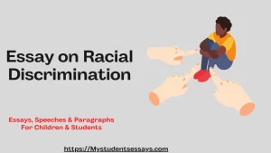 Essay on Racial Discrimination