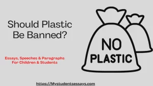 Essay on Should Plastic be banned