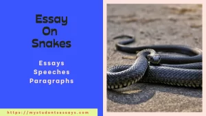 Essay on Snakes For Students