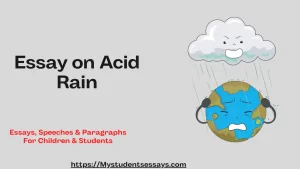 Essay on acid rain