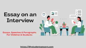 Essay on an Interview
